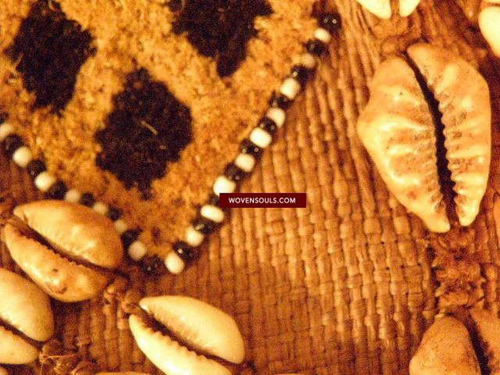 842 Rare Antique Kuba Ceremonial Raffia Jacket with Cowrie Shells