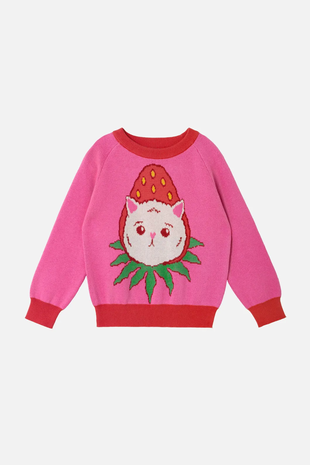 Berry Kitty Kids Knit