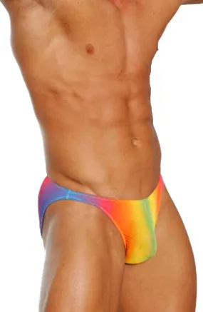 Sheer Rainbow Bikini Underwear - BLOWOUT SALE!