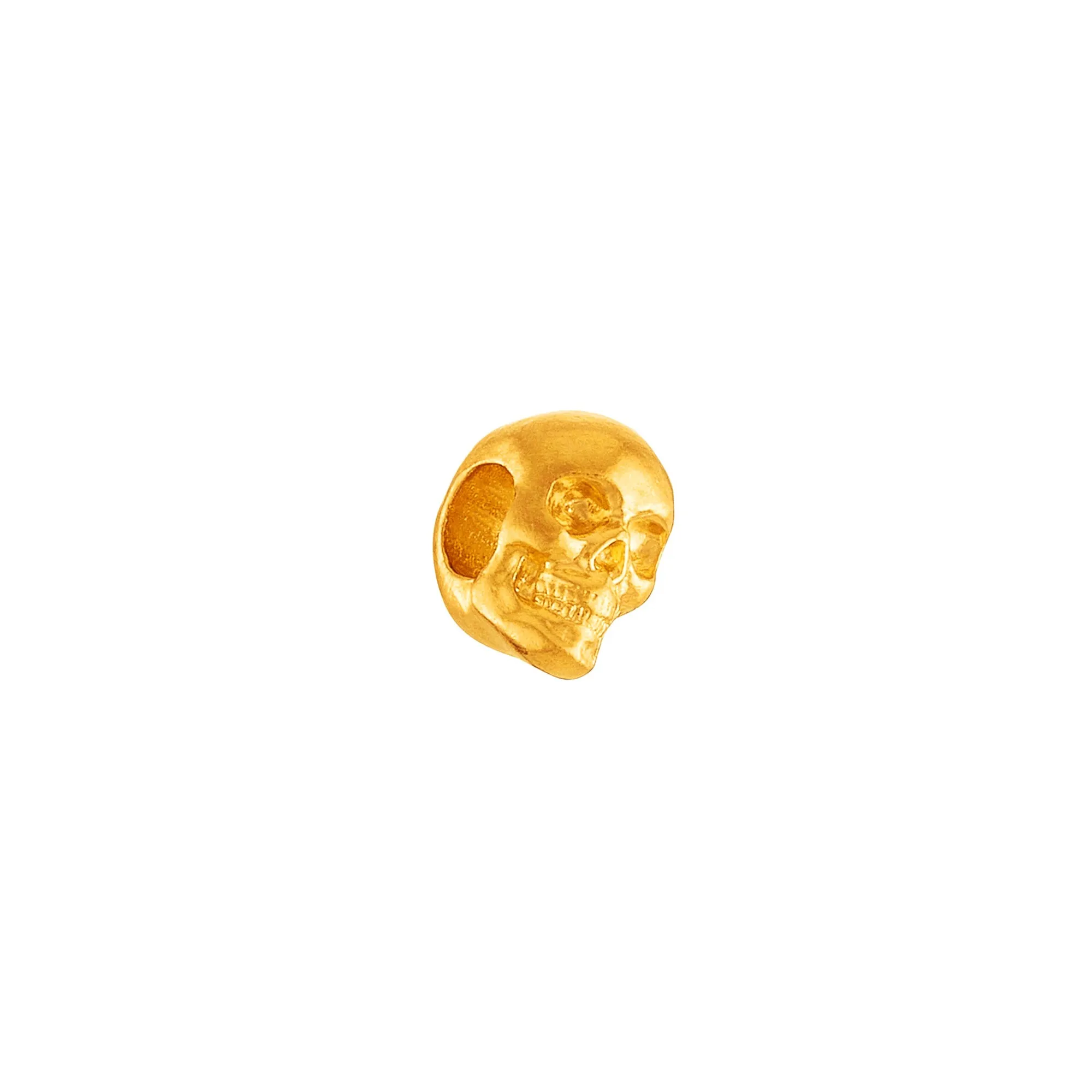 Skull Charm